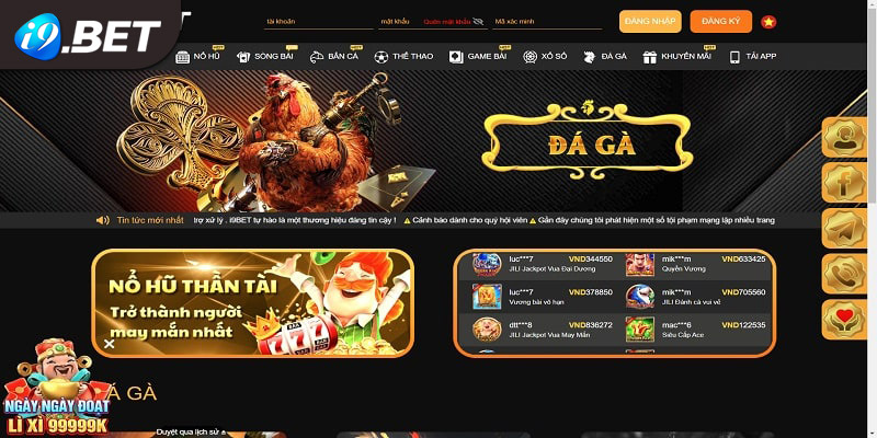 Cách tham gia cá cược chọi gà tại nhà cái uy tín I9bet41