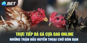 Đá Gà Cựa Dao Online Uy Tín - Nơi Hội Tụ Những Chiến Kê Hàng Đầu