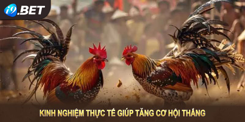 Kinh nghiệm thực tế giúp bạn nâng cao tỷ lệ thắng